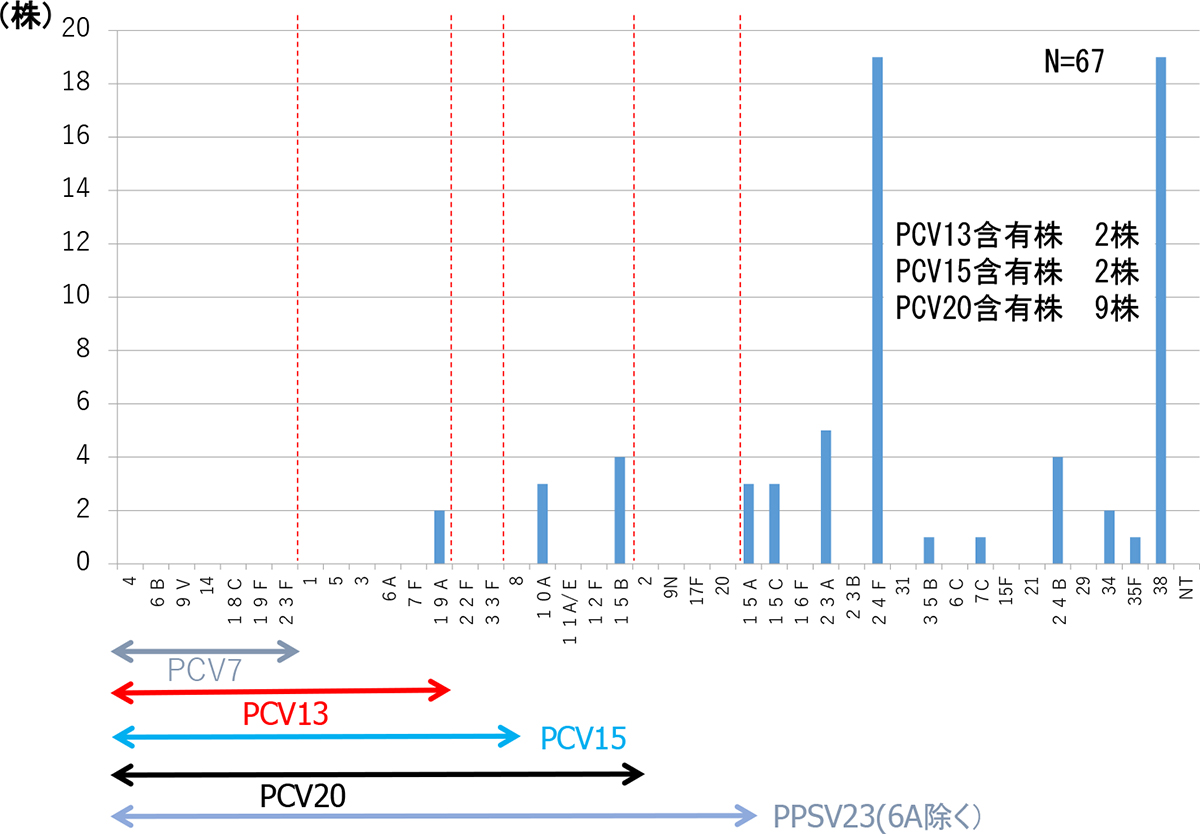 2025年1月から12月までの小児侵襲性感染症由来肺炎球菌株血清型分布のグラフ